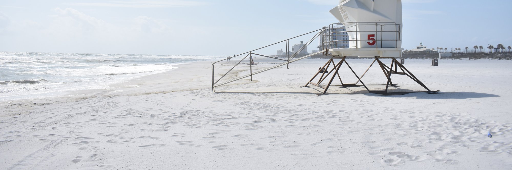 Whitney Vaughan Fike banner