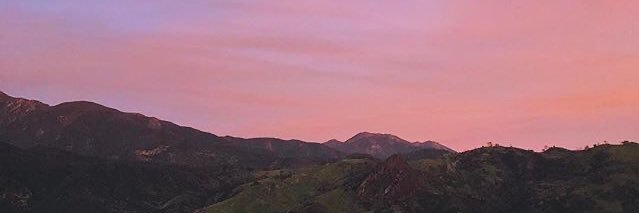 alia banner