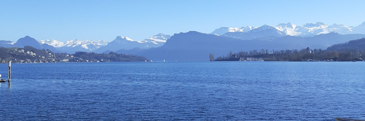 Kostas Michos banner