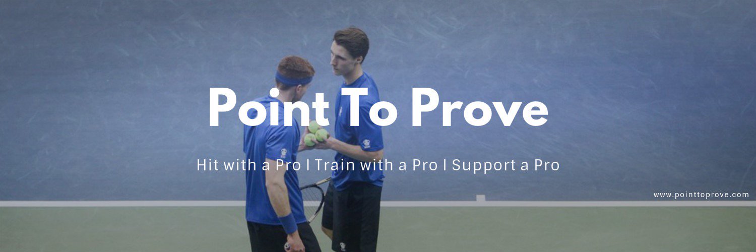 PointToProve_'s profile banner image