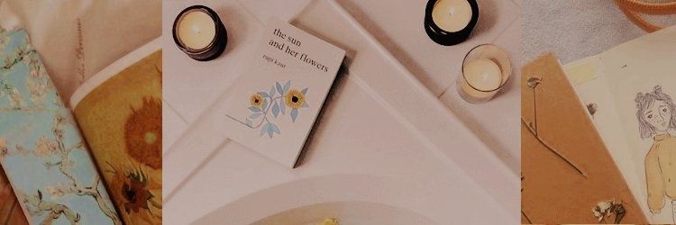 vicerylleZOMG's profile banner image