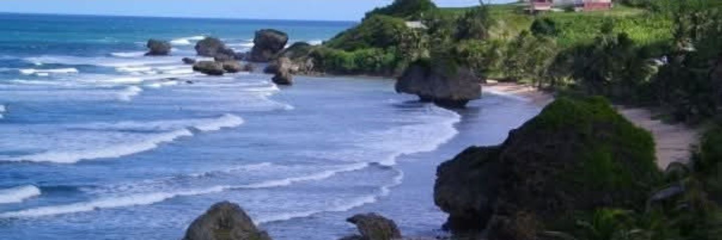 maggiemae2003's profile banner image