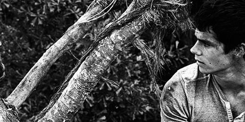 realputris's profile banner image