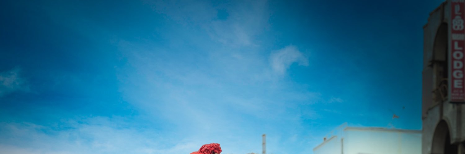kp148356's profile banner image