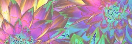 gabb126's profile banner image
