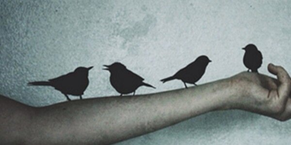 shaneallgdr's profile banner image