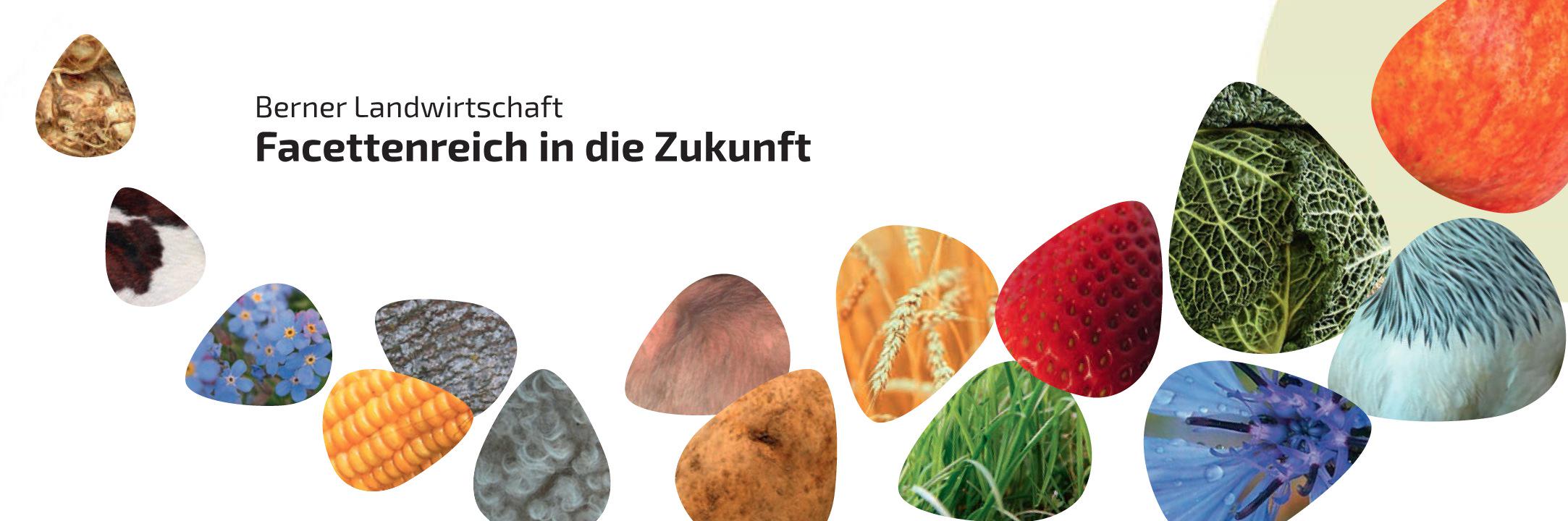 bernerbauern banner