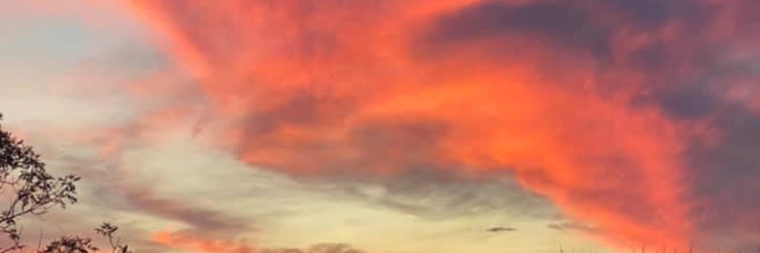 forceof1975's profile banner image
