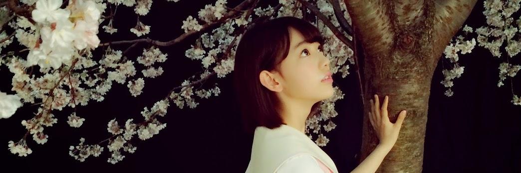 sakuraichi_'s profile banner image