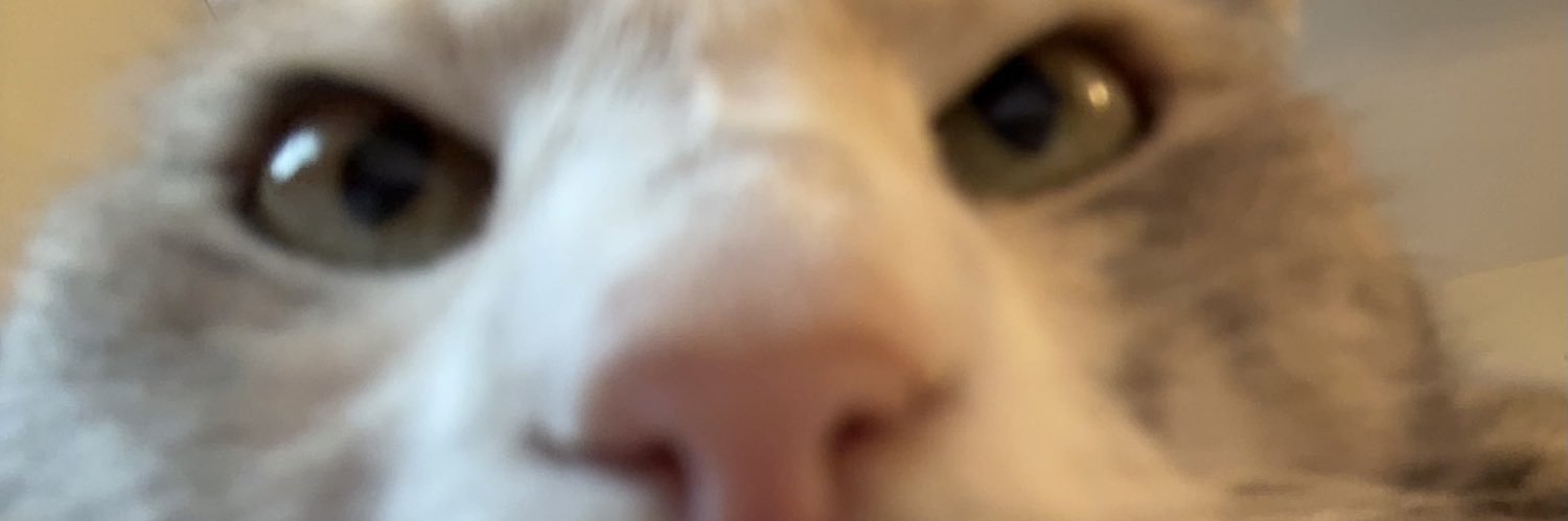 carbocationmode's profile banner image