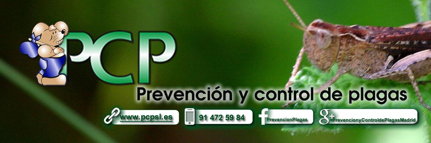pcpsl's profile banner image