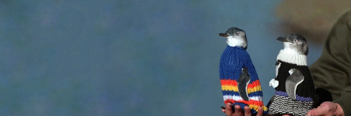 ariannaptx's profile banner image