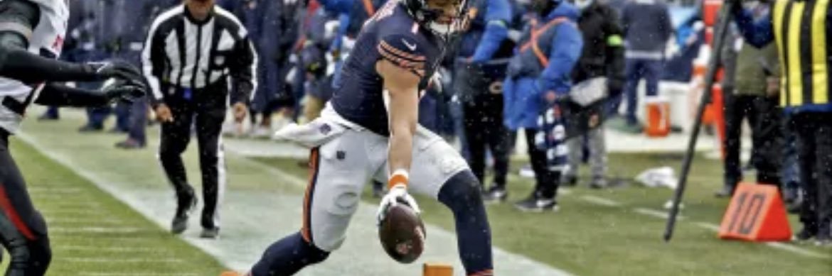 Da bears 🦾 banner