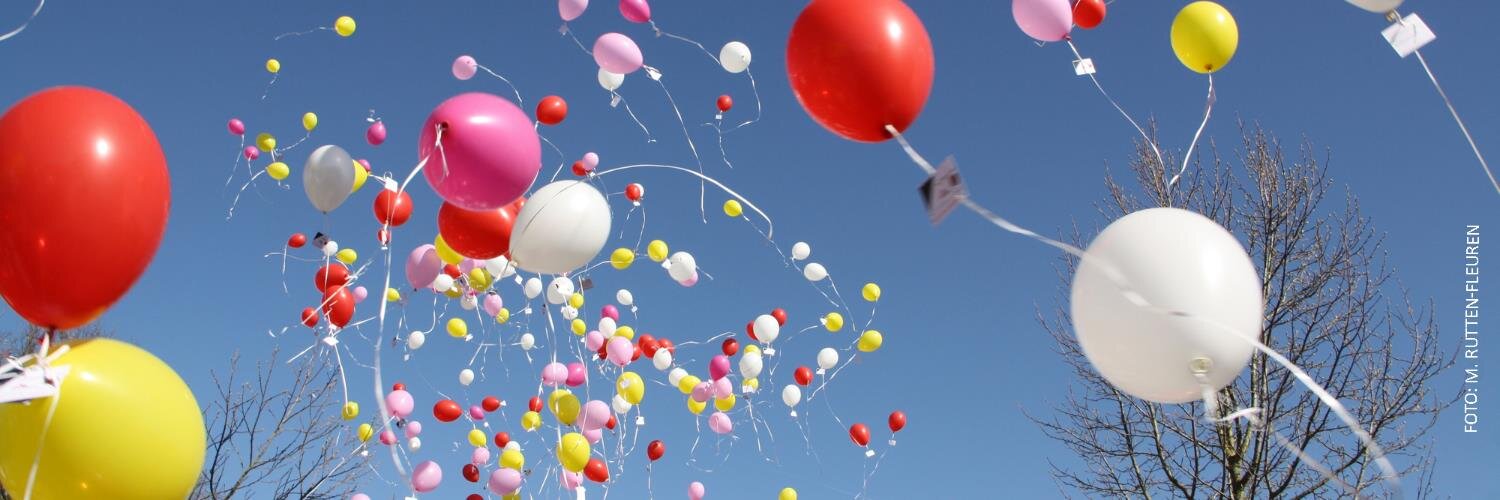 Dieballongaatnietop banner