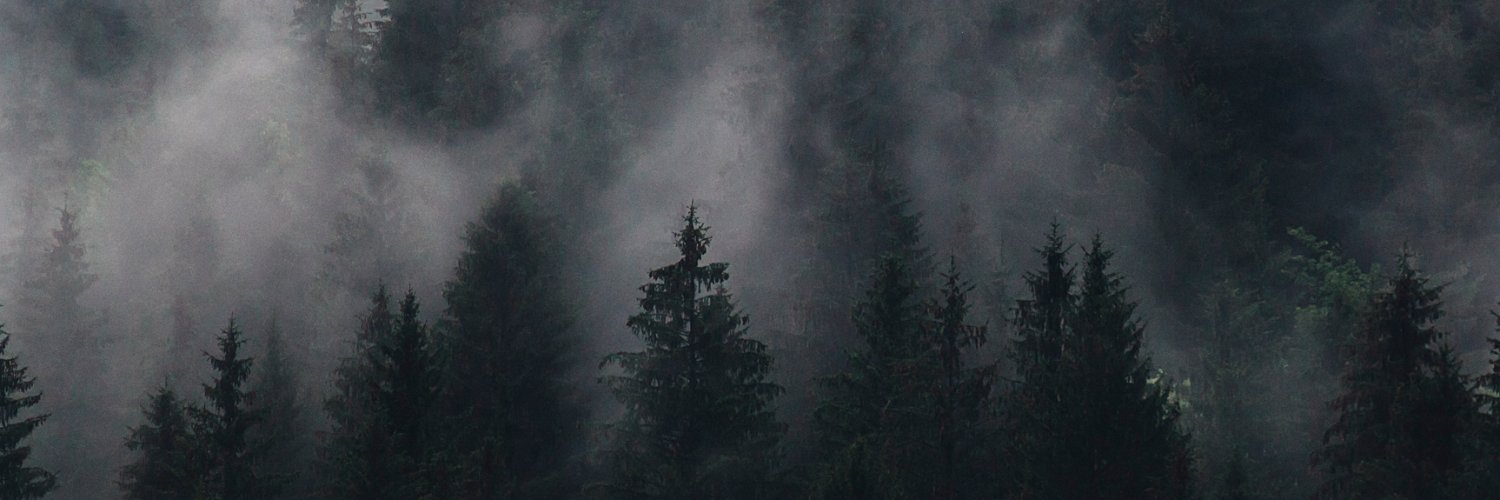foresta_lion's profile banner image
