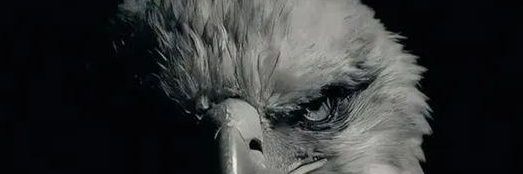 josealexandrems's profile banner image