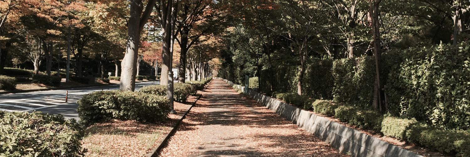 yukie_sd's profile banner image