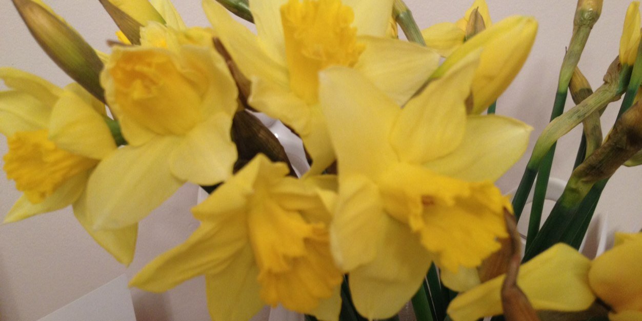 Ruth5064's profile banner image