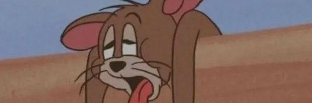 doppengu's profile banner image