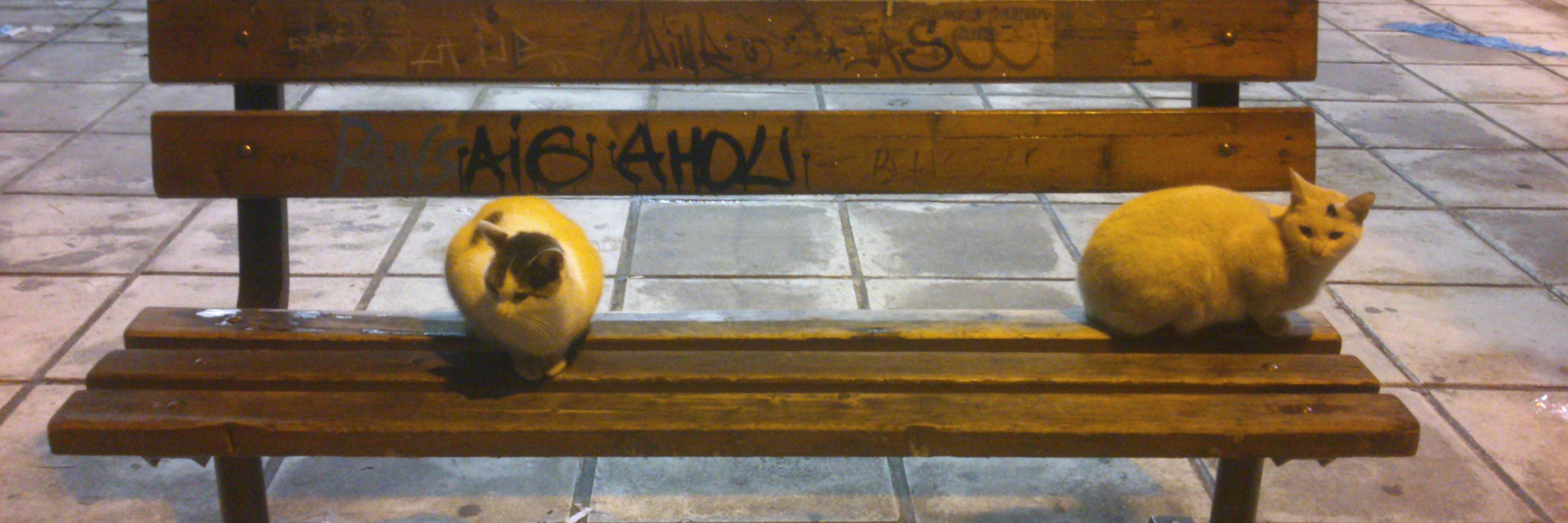sassy_wildside's profile banner image