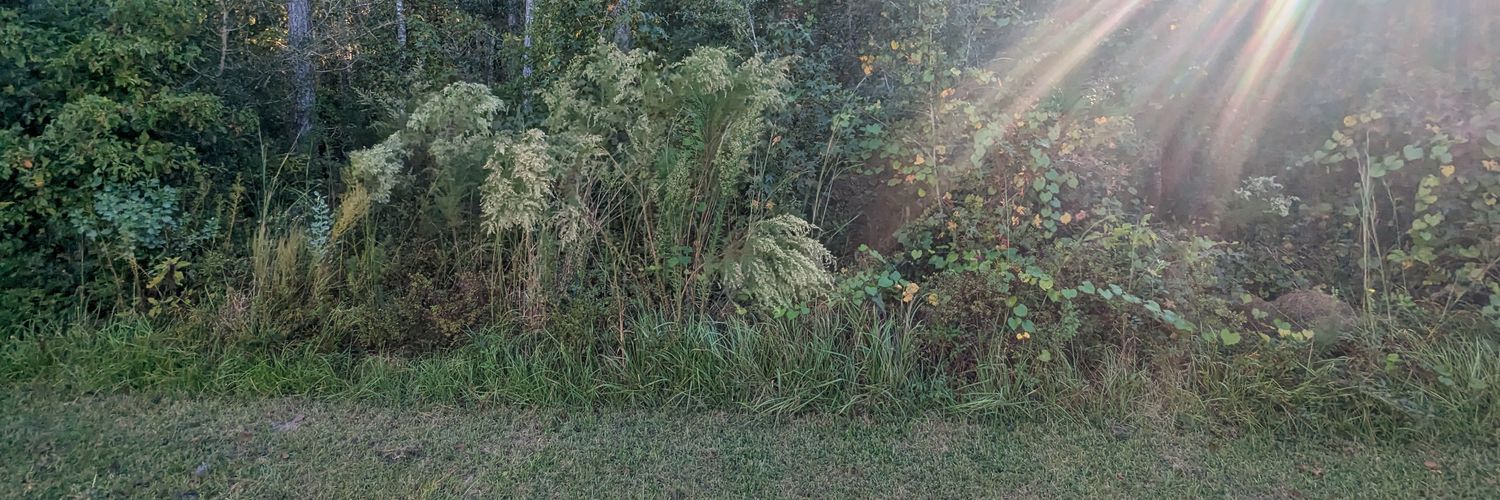 _justFREDS's profile banner image
