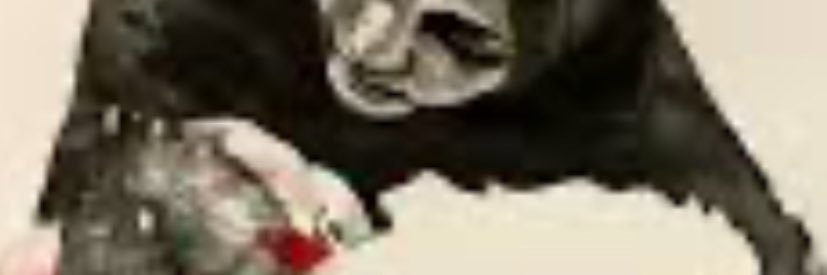 Sabina banner