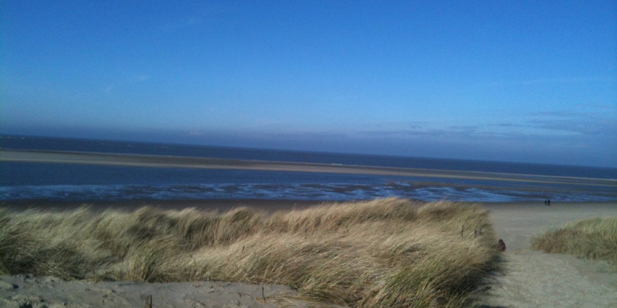 Elibertymar🥜🟧🦅 banner