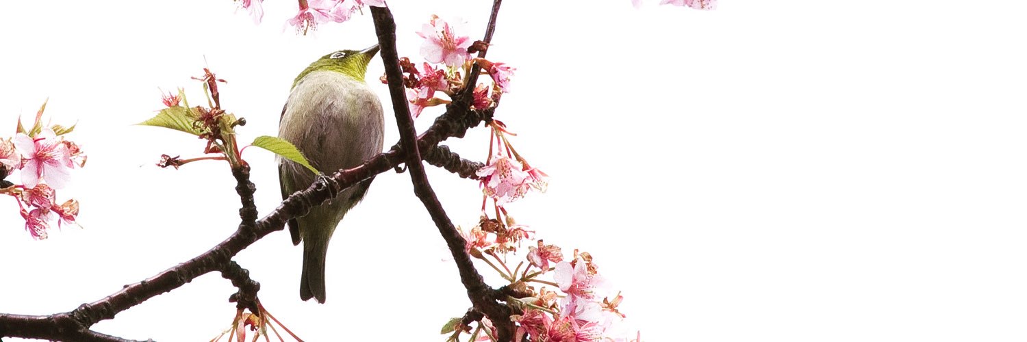 安処 banner
