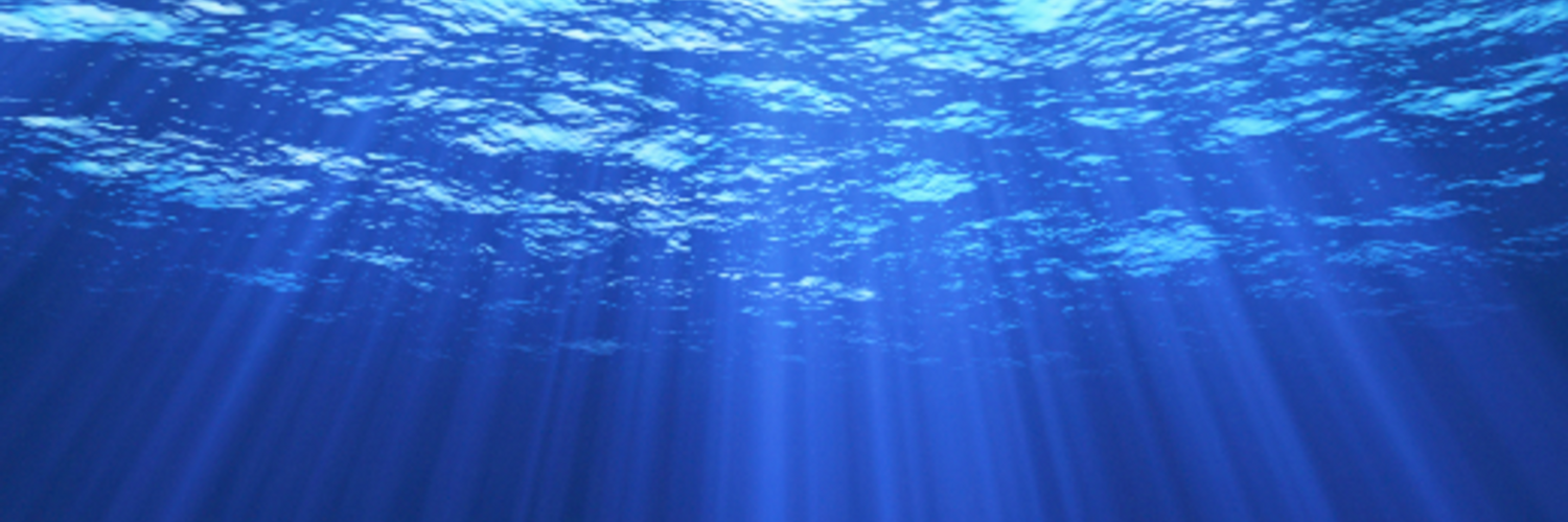 Manta Group on Twitter "The essentials of mobile app development http