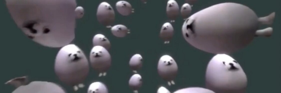 austinseel's profile banner image