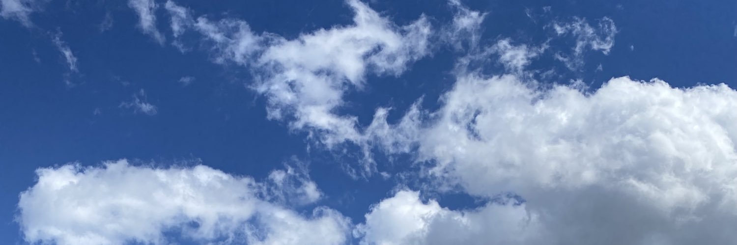 YmCamo's profile banner image