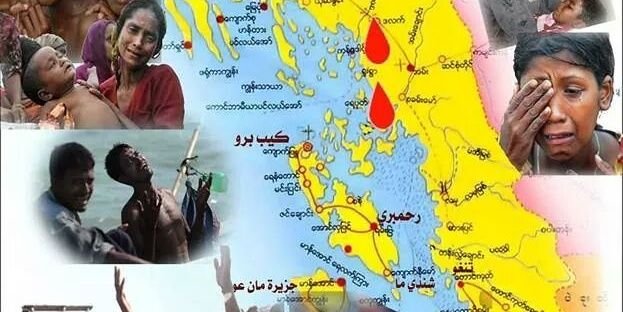 rohingyainsaaf's profile banner image