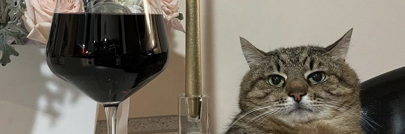 Mkokorie's profile banner image