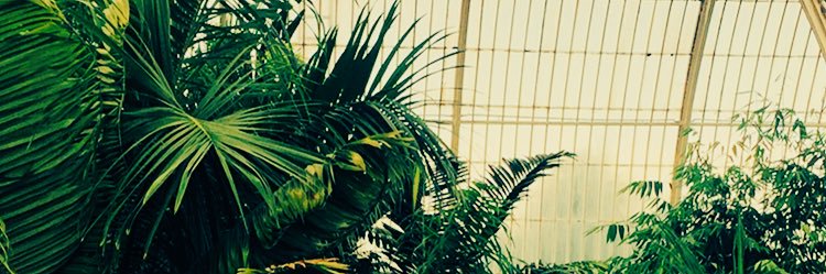 theldog15's profile banner image