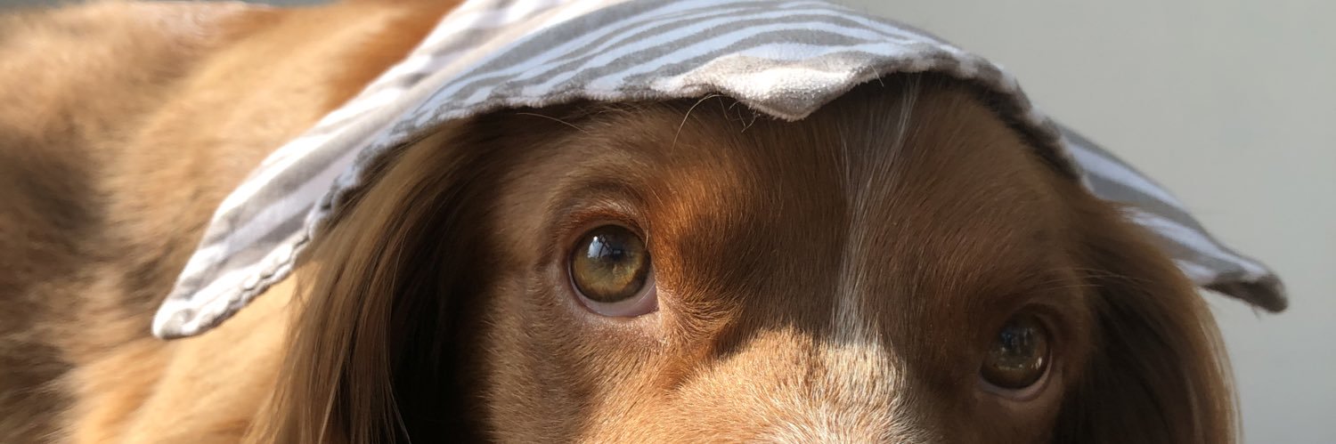 rosiewilkooo's profile banner image