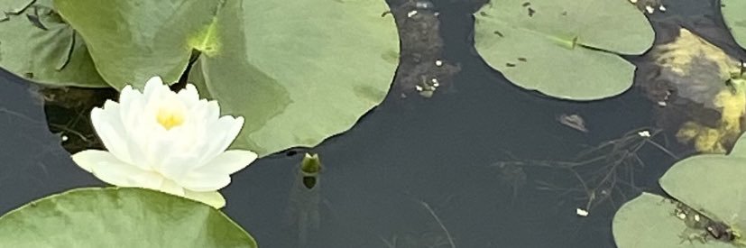 BabeofTJ's profile banner image