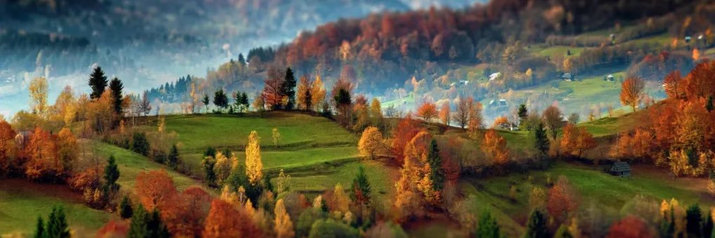 Weeble Wobble banner