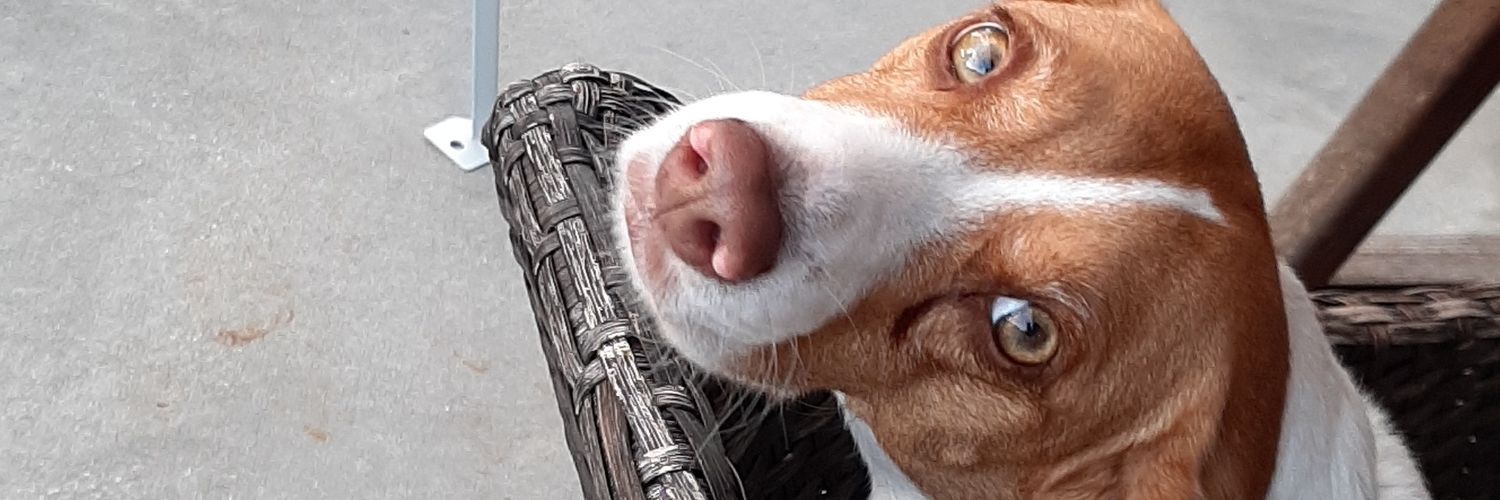 chazwade's profile banner image