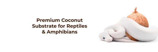 ReptiChip Profile Banner