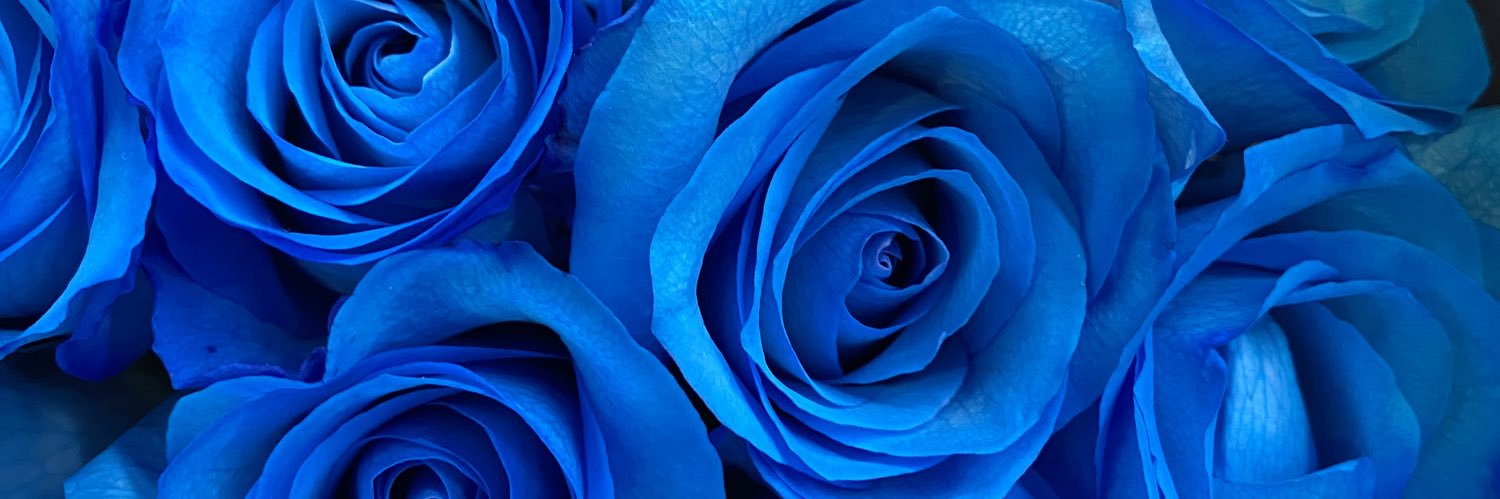 skmi2's profile banner image
