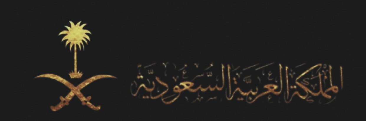 _S_A_Q's profile banner image