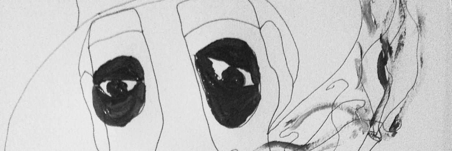 Djamilaa's profile banner image