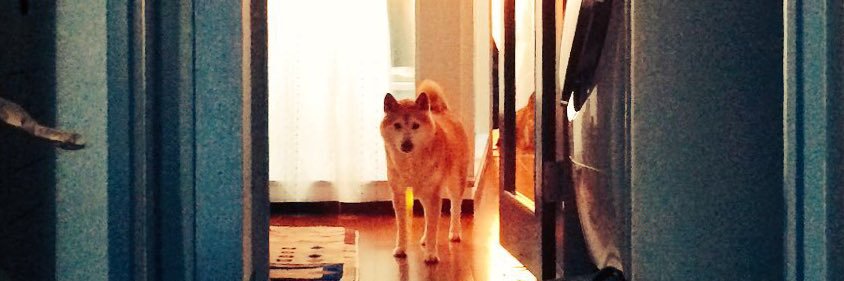 シンタ banner