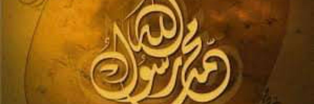 basitrauf's profile banner image