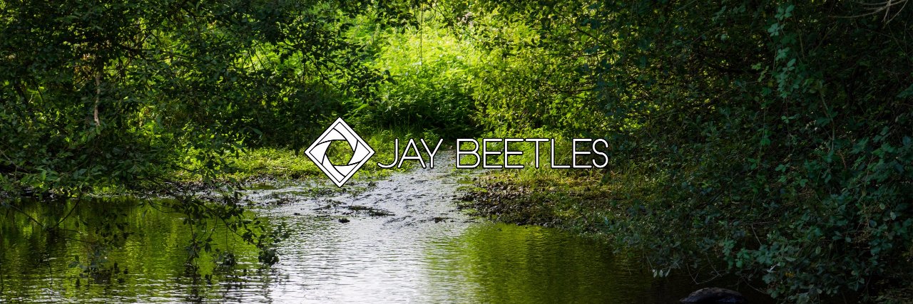Jay_Beetles's profile banner image