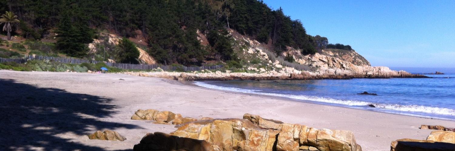 Ricardo Bascuñan R. 🇨🇱🇺🇦 banner