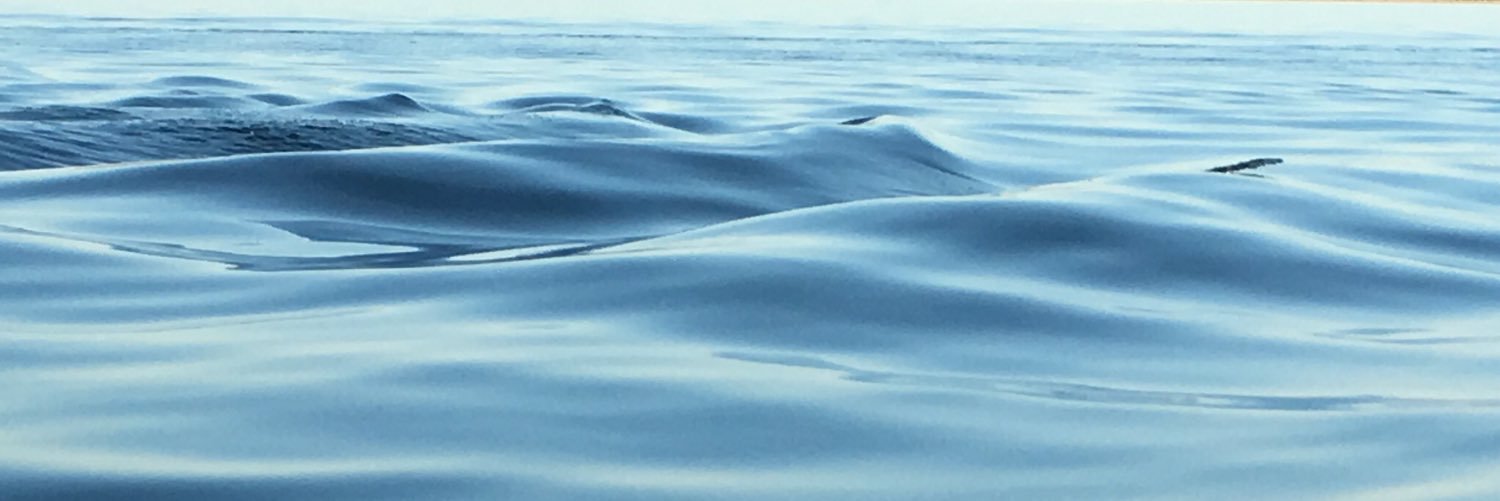 LammersTreena's profile banner image