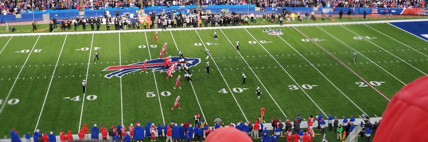 Billsfan for life banner