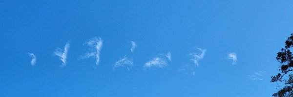 WaterFox21 Profile Banner