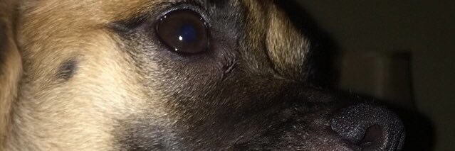 ToasterOven34's profile banner image